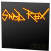 Download track Everyday Hero - Snad Rox