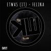 Download track Felina