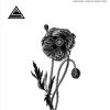 Download track A Flower That Wouldn't Bloom