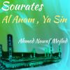 Download track Sourate Al Anam, Pt. 2 (Hafs Muratal)