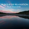 Download track Musique Naturelle Pour Dormir