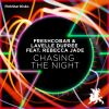 Download track Chasing The Night