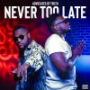 Download track NEVER TOO LATE (ACOUSTIC)