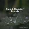 Download track Rain & Thunder Sounds Pt. 27