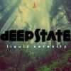 Download track Deep State - 110% Pure Mind