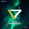 Download track Ambience