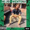 Download track Mlusi Wentsha