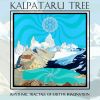 Download track Gaia Tree Dub