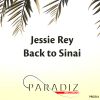 Download track Back To Sinai (Radio Mix)