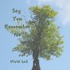 Download track Say You Remember Me