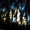 Download track BLurry Woods