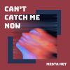 Download track Can't Catch Me Now (Speed Up Remix)