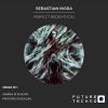 Download track Perfect Redemtion (Andrea Di Placido Remix)