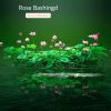 Download track Rose Bashingd