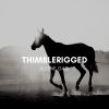 Download track Thimblerigged