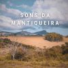 Download track Mantiqueira