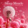 Download track Pink Noise Sleep Miracle