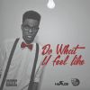 Download track Do What U Feel Like