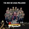 Download track El Guararey / Ya No Se Usa Peludo