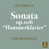 Download track Piano Sonata No. 29 In B-Flat Major, Op. 106 