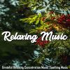 Download track Beautiful Relaxing For Stress Relief