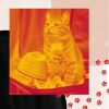 Download track Debonair Ambiance For Comfy Cats