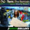 Download track Torn (Dg's Uk Remix;