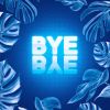 Download track Bye Bye