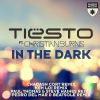 Download track In The Dark (Ken Loi Remix)