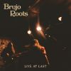 Download track Brujo Disco / What Does It All Mean? (Live)