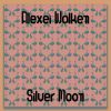 Download track Silver Moon (Original Mix)