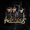 Download track Los Arroyuelos (En Vivo)