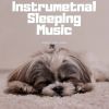 Download track Background Sleeping Music