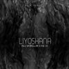 Download track Liyashona