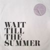 Download track Wait Till The Summer