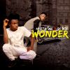 Download track Wonder