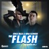 Download track The Flash (Bio Zounds Remix)