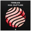 Download track Egg Rupture