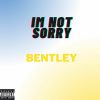 Download track Im Not Sorry (Remix)