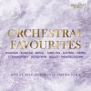 Download track Pavane In F-Sharp Minor, Op. 50