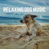 Download track Relaxing Dog Music, Pt. 4