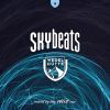 Download track Skybeats 4 (Continuous DJ Mix)