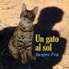 Download track Un Gato Al Sol