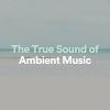 Download track Ambient Guard