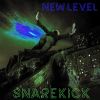 Download track New Level