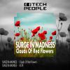 Download track Clouds Of Red Flowers