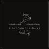 Download track Pies Como De Ciervas