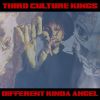 Download track Different Kinda Angel