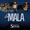 Download track La Mala