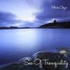 Download track Sea Of Tranquility